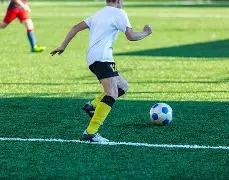 罗德里,西班牙队世,界杯夺冠关,pa真人娱乐官网,pa真人视讯平台,pa真人电子游戏,pa真人体育电竞,pa真人棋牌彩票,PlayAce