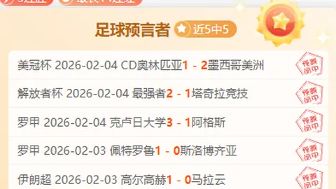 2025年雪地排球国际邀请赛在中国即将启动